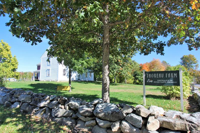 Henry David Thoreau Birthplace Farm - Concord - History's Homes