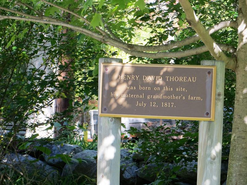 Henry David Thoreau Birthplace Site marker - Concord - History's Homes