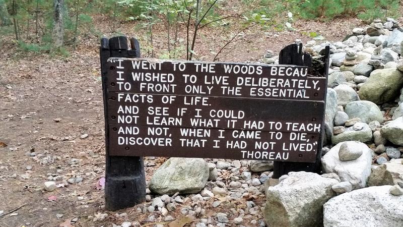 Henry David Thoreau Walden Pond sign - Concord - History's Homes